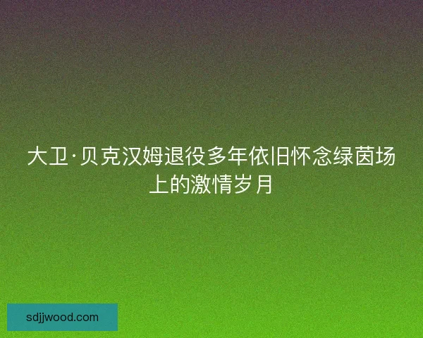 大卫·贝克汉姆退役多年依旧怀念绿茵场上的激情岁月 大卫·贝克汉姆退役多年依旧怀念绿茵场上的激情岁月