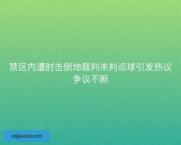 禁区内遭肘击倒地裁判未判点球引发热议争议不断 禁区内遭肘击倒地裁判未判点球引发热议争议不断