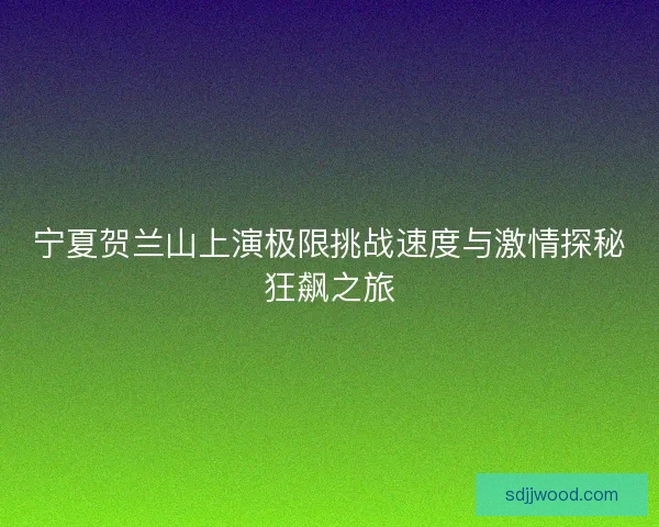 宁夏贺兰山上演极限挑战速度与激情探秘狂飙之旅 宁夏贺兰山上演极限挑战速度与激情探秘狂飙之旅