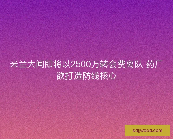 米兰大闸即将以2500万转会费离队 药厂欲打造防线核心