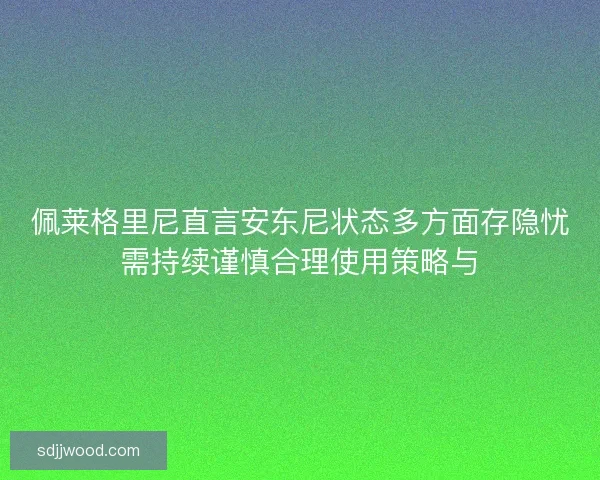 佩莱格里尼直言安东尼状态多方面存隐忧需持续谨慎合理使用策略与