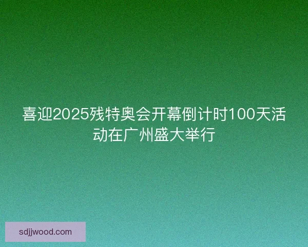 喜迎2025残特奥会开幕倒计时100天活动在广州盛大举行 喜迎2025残特奥会开幕倒计时100天活动在广州盛大举行