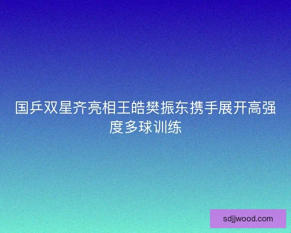 国乒双星齐亮相王皓樊振东携手展开高强度多球训练 国乒双星齐亮相王皓樊振东携手展开高强度多球训练